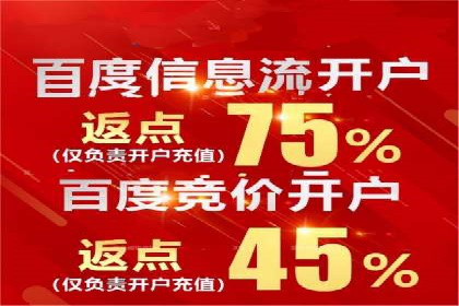 SEM推广竞价策略案例分析
